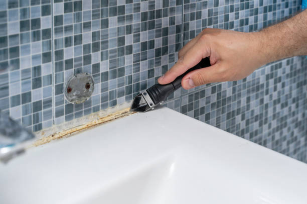 Best Certified Mold Removal  in Ceredo, WV